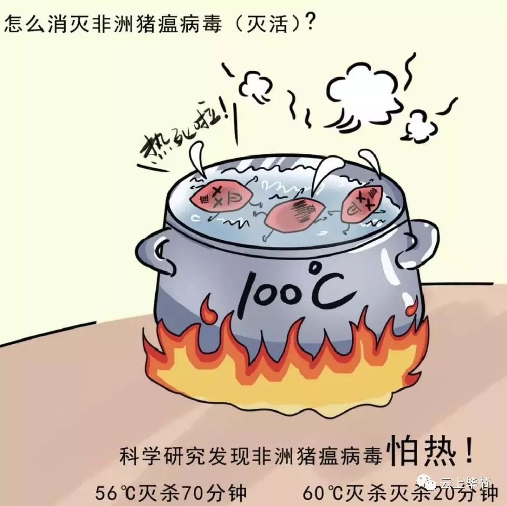 郑州确诊非洲猪瘟,这到底意味着什么?咱们老百姓该咋办? 郑州确诊非洲猪瘟,这到底意味着什么?咱们老百姓该咋办?